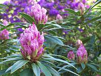 17-05-05kodak_179