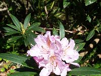 18-05-05kodak_063