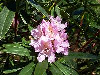 18-05-05kodak_065