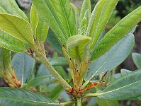 02-06-05canon_035