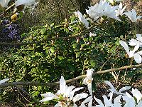 04-05-2006_21-45-59_46