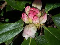 05-05-05kodak_170