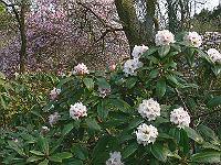 07-05-2006_09-27-50_93c
