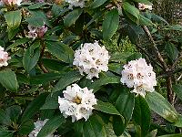07-05-2006_09-27-56_95