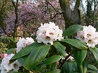 07-05-2006_09-28-05_98