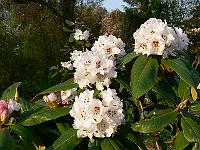 07-05-2006_19-11-53_103