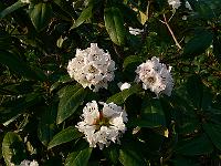 07-05-2006_19-12-25_113