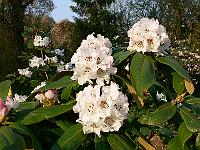 07-05-2006_19-13-02_124