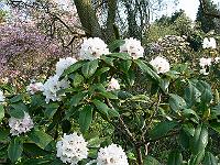 08-05-2006_09-30-00_58