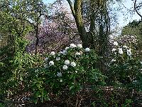 08-05-2006_09-31-46_87