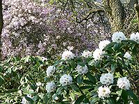 08-05-2006_17-49-48_69