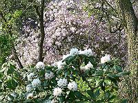 08-05-2006_17-50-15_76