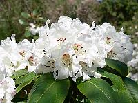 09-05-2006_15-14-33_58