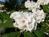 09-05-2006_19-06-33_58