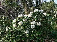 10-05-2006_18-09-57_09