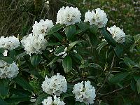 11-05-2006_20-14-28_41