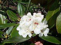 12-05-05kodak_073