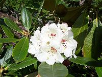 12-05-05kodak_074