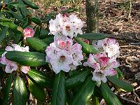 2011-04-22_08-03-35_0018