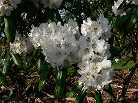 2011-04-29_07-28-27_0124