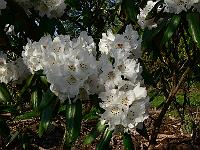 2011-04-29_07-28-33_0127