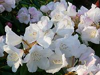 04-05-2006_08-04-04_187