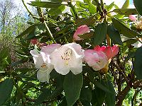 28-04-05kodak_102