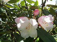 28-04-05kodak_103