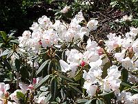 05-05-05kodak_182
