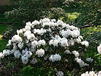 08-05-2006_09-44-36_295