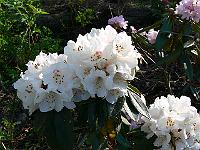 09-05-2006_08-54-01_23