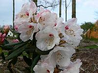 2009-04-22_17-32-43_0058