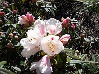 26-04-05kodak_062