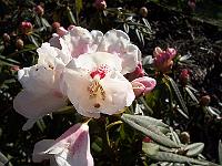 26-04-05kodak_126
