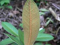 20-09-2006_17-07-58_70