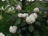 18-05-2006_14-54-46_335