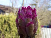 20-04-05kodak_087