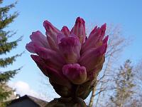 22-04-05kodak_004