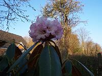 26-04-05kodak_020
