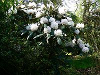 07-05-2008_20-49-14_68