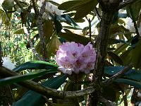 07-05-2008_20-49-14_72