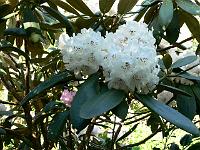 07-05-2008_20-49-14_81