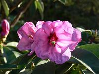 17-04-2006_08-48-17_111