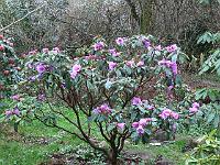 22-04-2006_07-14-25_68