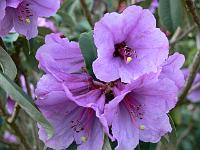 22-04-2006_19-39-32_129