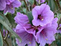 22-04-2006_19-39-45_132
