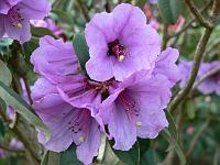 22-04-2006_19-39-58_135