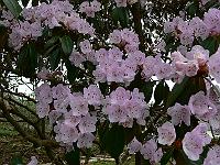 2011-04-13_15-58-47_0076