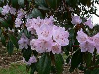 2011-04-13_15-59-28_0084