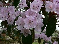 2011-04-13_15-59-51_0090